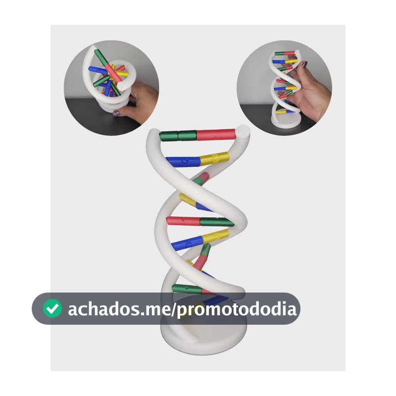 Anatomia Dupla Hélice Dna Humano Modelo Anatômico Biologia