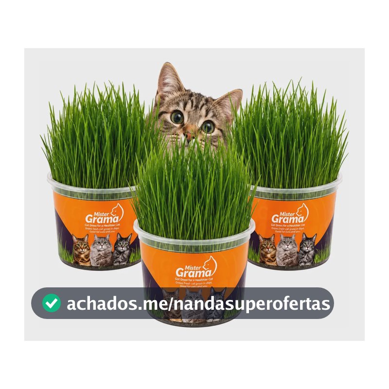 Graminha Gatos Mister Auxilia Na Digestão E Bola De Pelo 3un