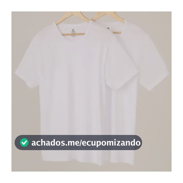 Kit Com 2 Camisetas Masculinas Básicas Slim Hering