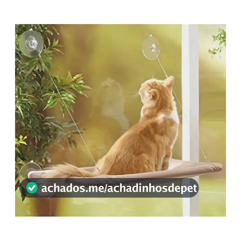 Cama Caminha De Janela Para Gatos Com Ventosas Suspensa Rede Cor Bege