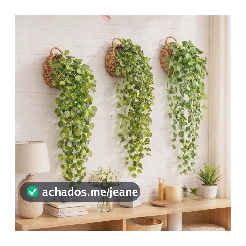 3 Vasos Decorativos Com 3 Planta Hera Pendente Jiboia