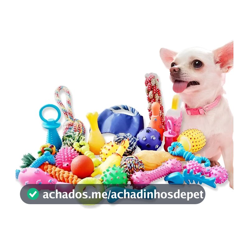 Kit 10 Brinquedos Para Filhote Cachorro Pet Mordedor