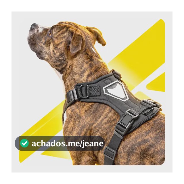 Coleira Peitoral H Anti-puxão Adestramento Golden Pitbull