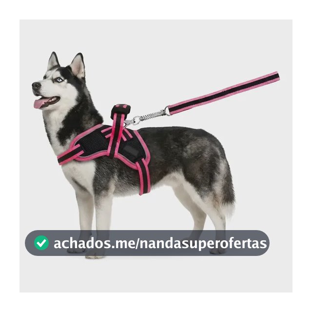Guia Para Cães Coleira Peitoral Com Alça Reforçado Pit Bull
