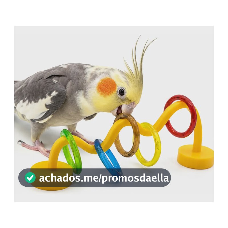 Brinquedo Para Ave Avuk Pet Passa Argola Recomendado Para Calopsita, Periquito - Cor Sortido