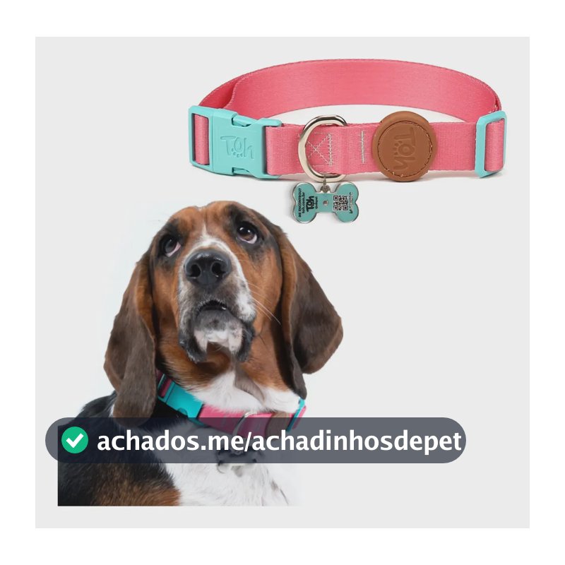 Coleira Pingente Identificação Tag Qr Code Toh Dog Cor Rosa Estampado Tamanho da coleira M