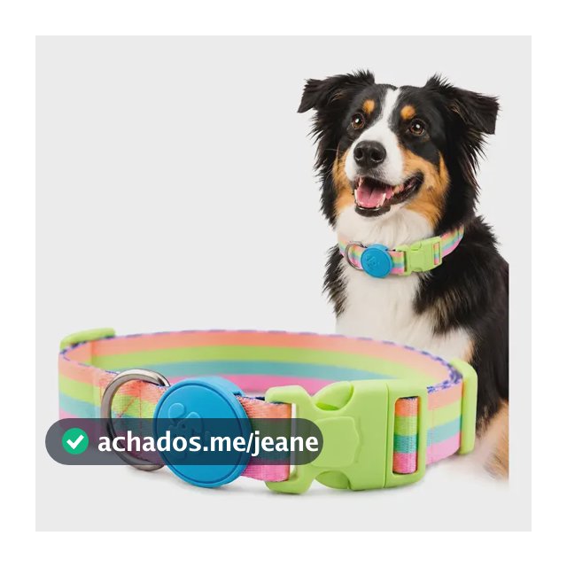 Coleira Caes Ajustavel Fecho Seguro  Acessório Pet Meuauau