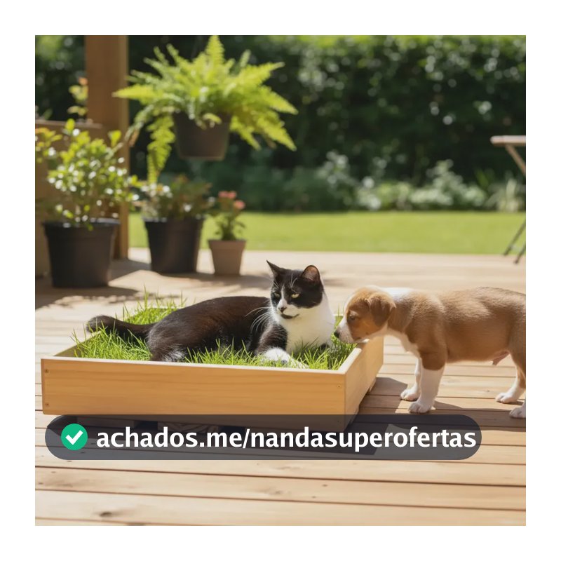 Caixa Grama Natural Pet Gato Cão Higiene Cama Conforto Verde