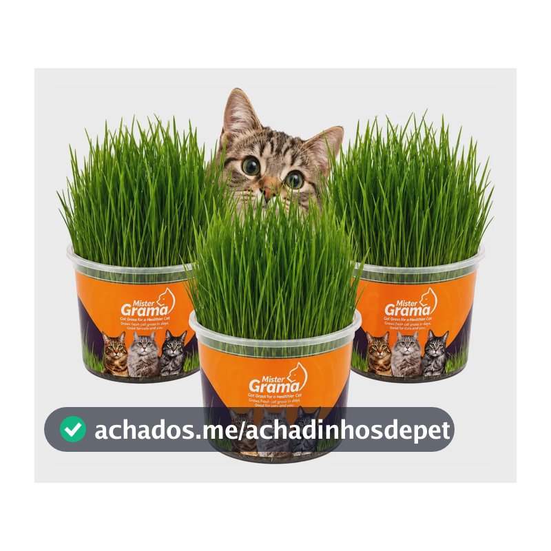 Graminha Gatos Mister Auxilia Na Digestão E Bola De Pelo 3un