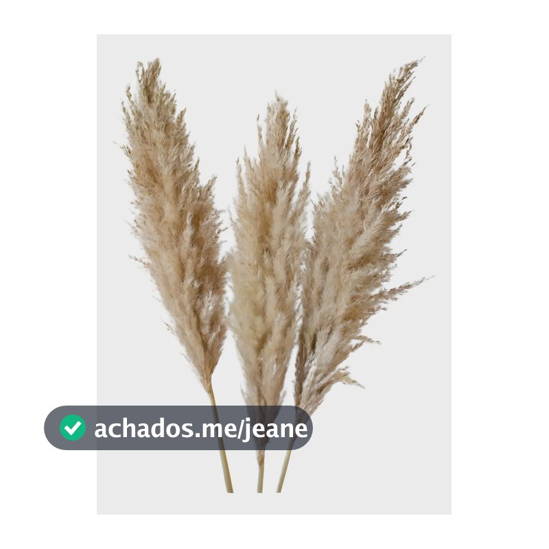 Capim Dos Pampas Natural Palha Em Buquê Inspira Flora - Kit 5 Hastes