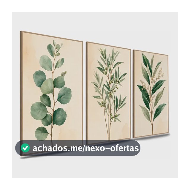 Quadros Decorativos Botânico Minimalista 3 Peças Multicores Borda Impressa