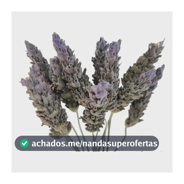 40 Flores /buquê Natural De Lavanda Desidratada Lavanda