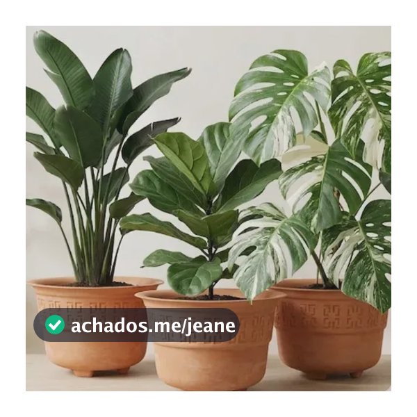 Kit 3 Vasos Redondos 5 Litros Decorativos Plantas E Flores T Terracota Grego