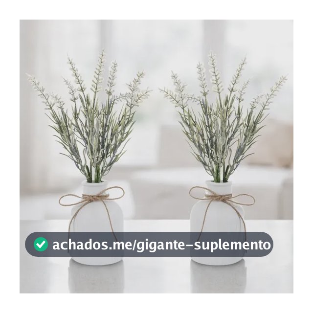 Arranjo Flores Lavanda Kit 2 Vasos De Gesso Para Decoração