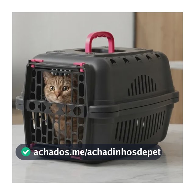 Caixa Transporte Pet N1 Cachorro Gato Coelho Pequeno Porte