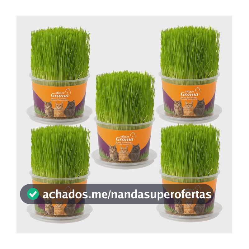 Graminha Para Gatos - Mister Grama - Kit 5 Unid