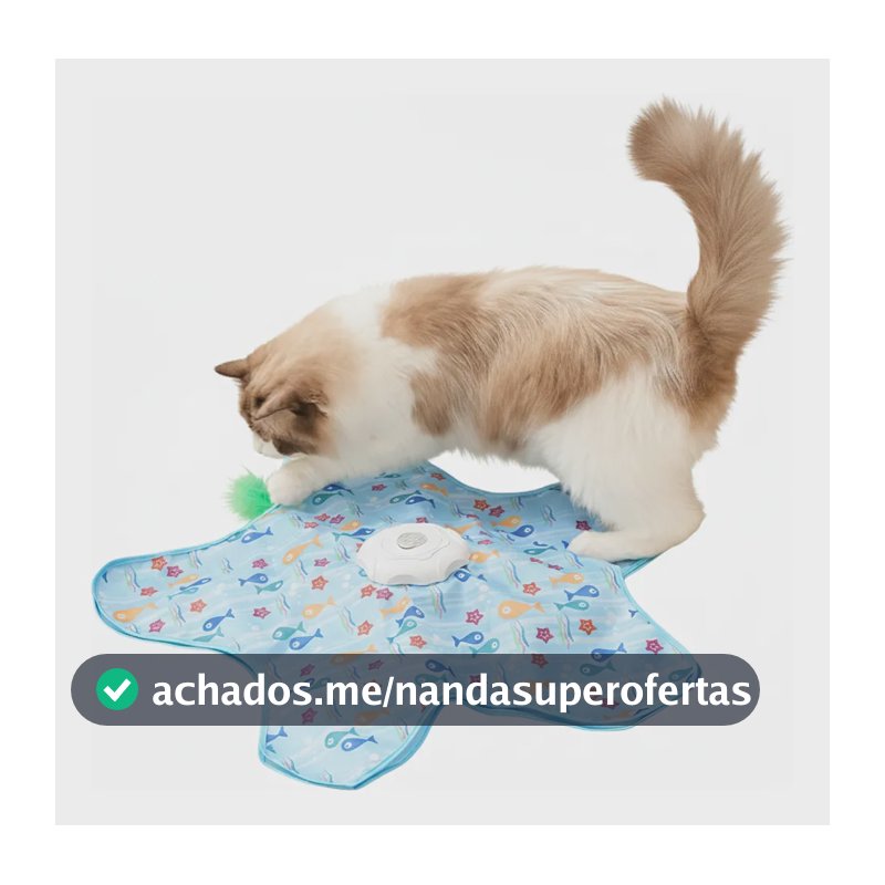 Brinquedo Interativo Gato Movimento Mouse Penas + Brinde
