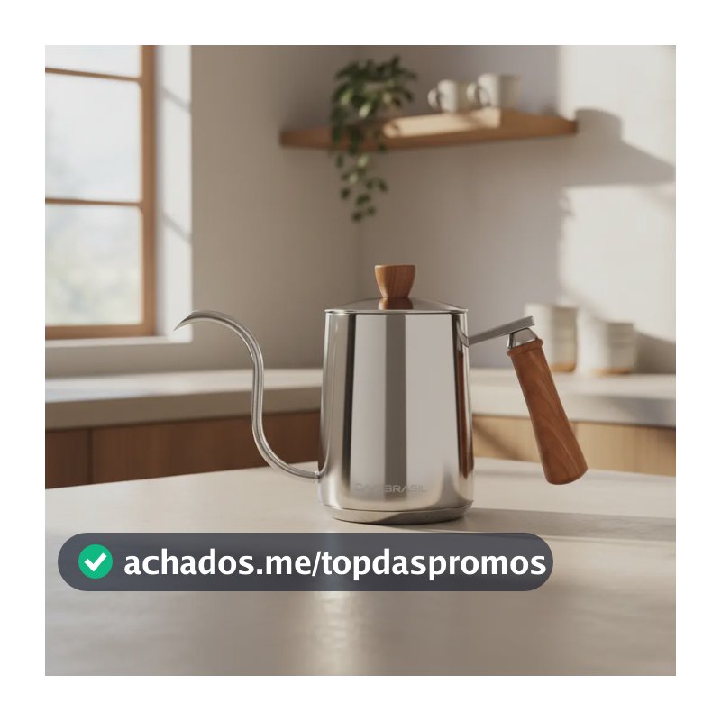 Chaleira Bico Ganso Fino 600ml Inox Indução Barista Café V60