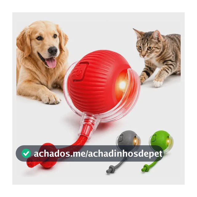 Bola Pet Inteligente Automática Giratória Recarregável Usb Brinquedo Cachorro Cão Gato Cauda Pets - Black Raipe Vermelha