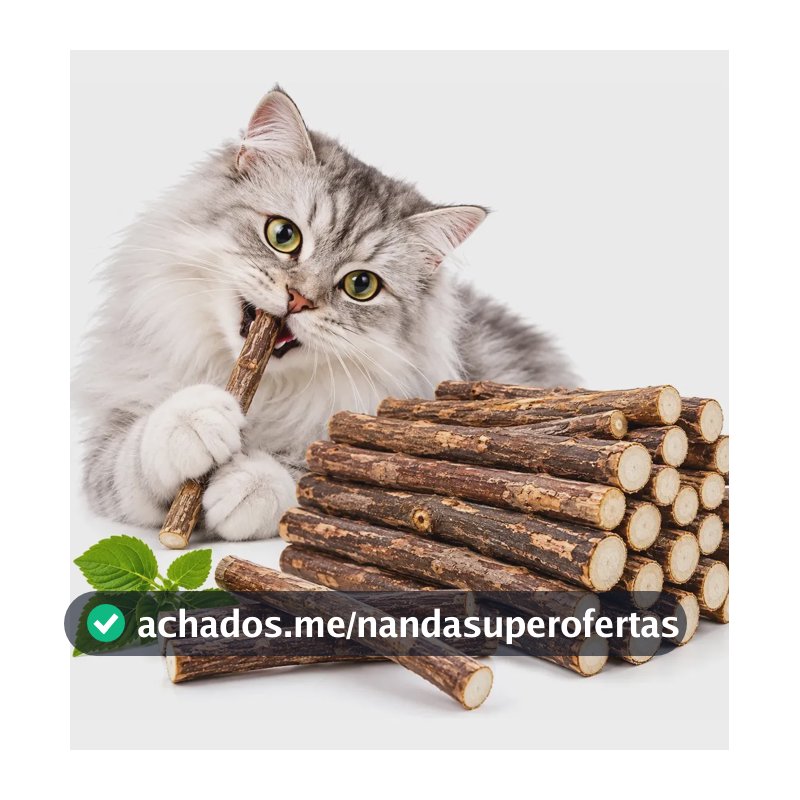 Matatabi Varas Gatos Catnip Limpa Dentes Kit Com 20,30,50un Kit 20 Unid.