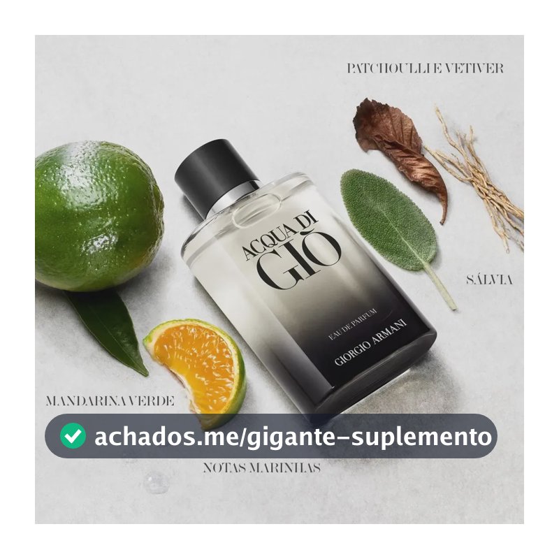 Perfume Masculino Giorgio Armani Acqua di Giò Eau de Parfum Refilável 100ml