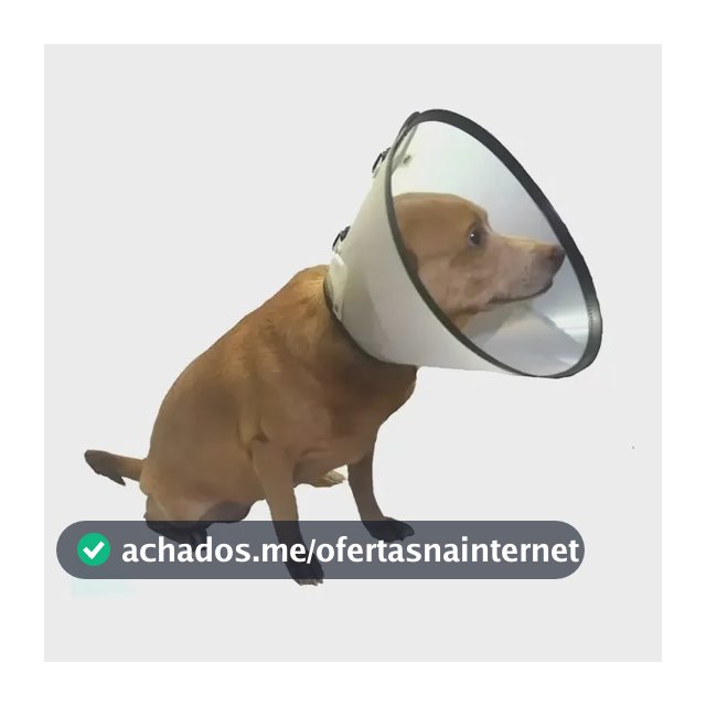 Colar Cirúrgico Elizabetano Para Cães Cachorros Do N1 Ao N10