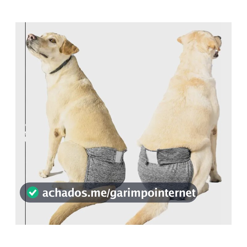 Calcinha Protetora De Fralda E Cio Cachorro Fêmea Tam 6 E 7 Cor Cinza-escuro