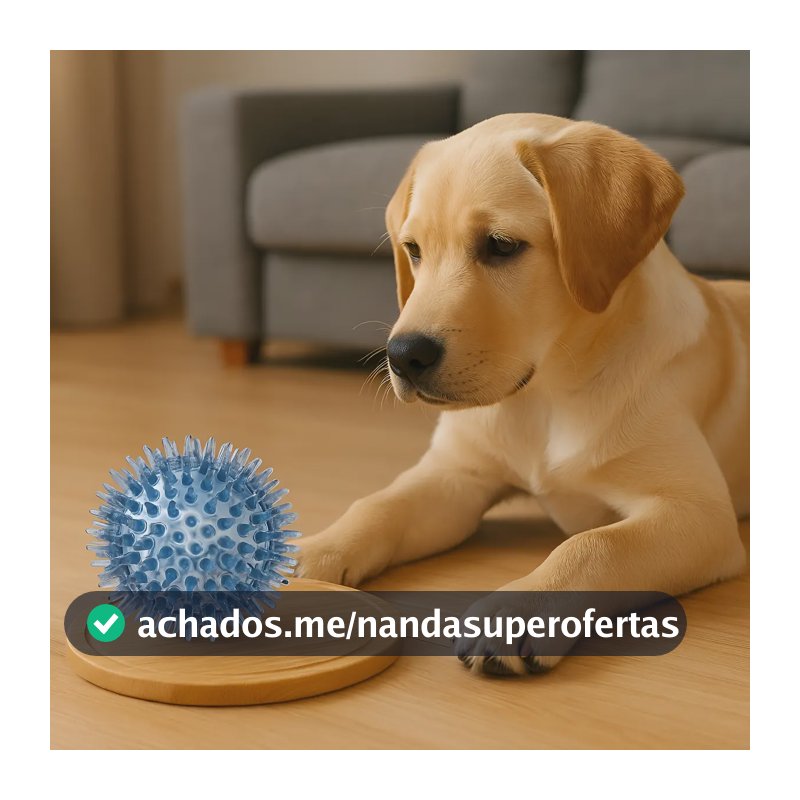 Bolinha Mordedor Interativo Cravos Apito Brinquedo Cães Azul