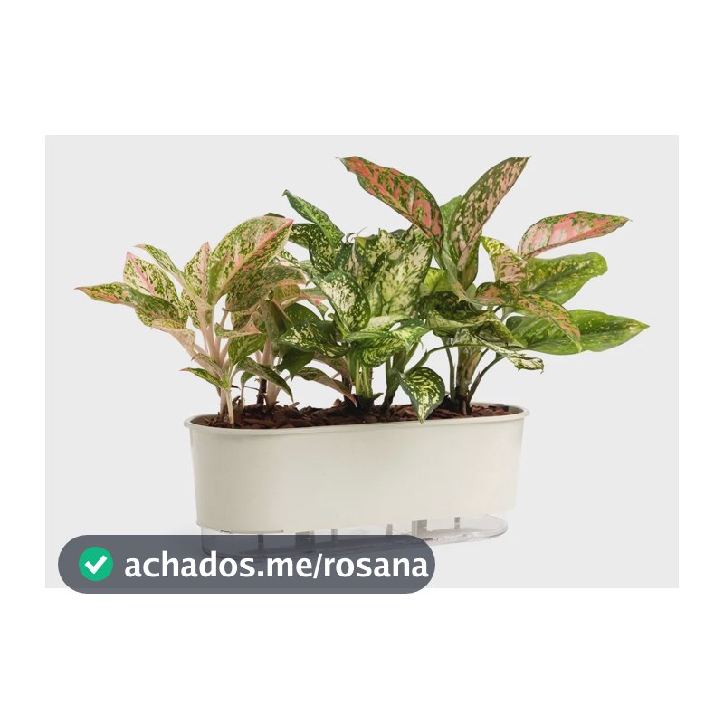 Vaso Jardineira Autoirrigável Floreira Auto Irrigavel Cores Cor Calcario