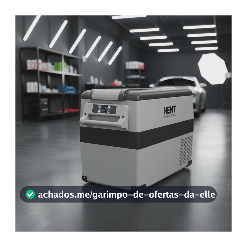 Geladeira Portatil 42 Litros Caminhao Van Motorhome Carro 12v/24v 110/220