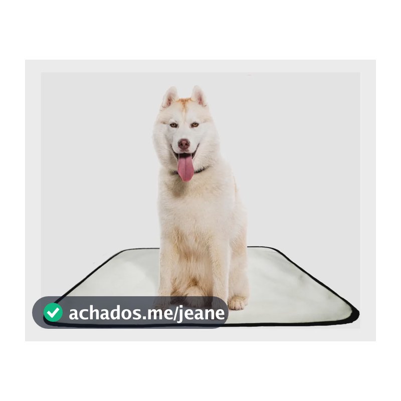 Kit 2 Tapetes Higiênicos Laváveis Shelby Moda Pet 60x80cm Cães