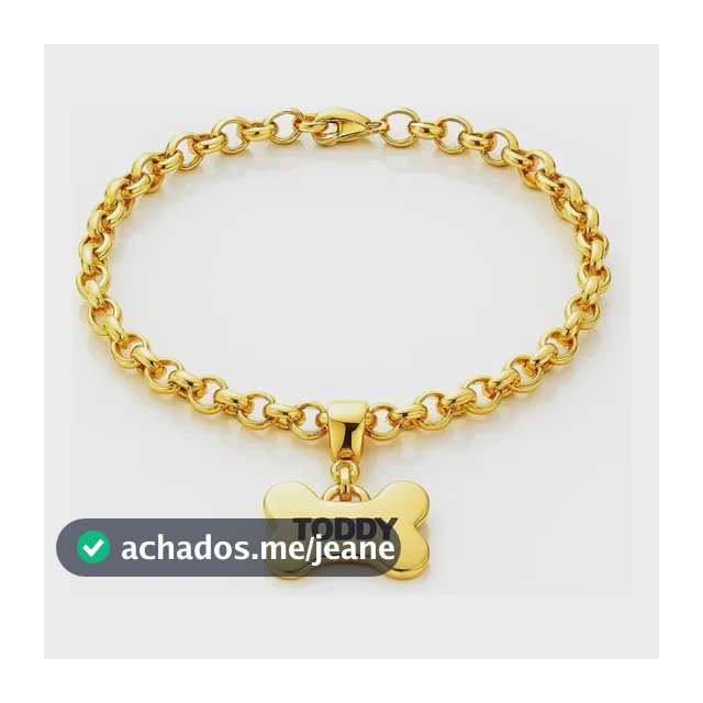 Coleira Pet Folheado Ouro 18k Personalizada Nome Cachorro Dourado Ossos P