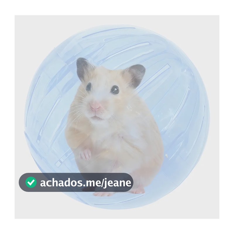 Bola Globo para Hamster 14,5cm Brinquedo em Acrílico para Roedores
