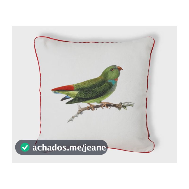 Capa de Almofada Estampada com Cordonê Papagaio Off-White 100% Algodão 43x43cm