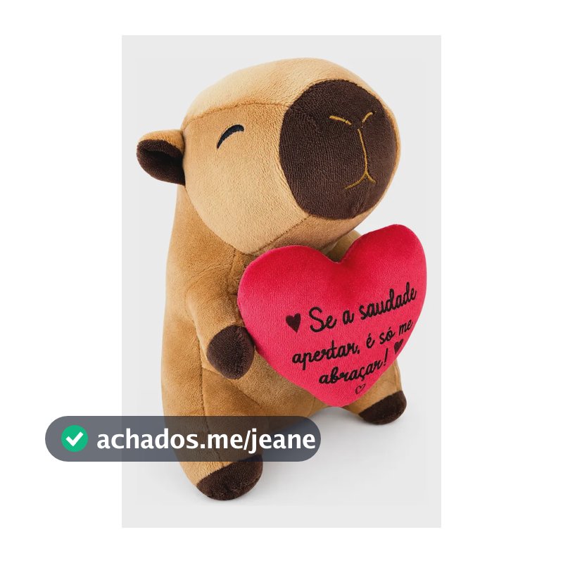 Pelúcia Capivara 20cm Com Coração Presente Marrom