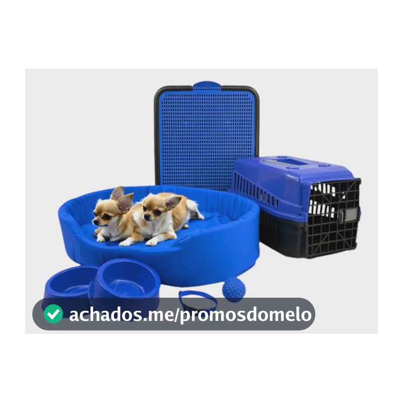 Kit Pet Pequeno Cama Europa Sanitário Transporte Acessórios Cor Azul Desenho Liso