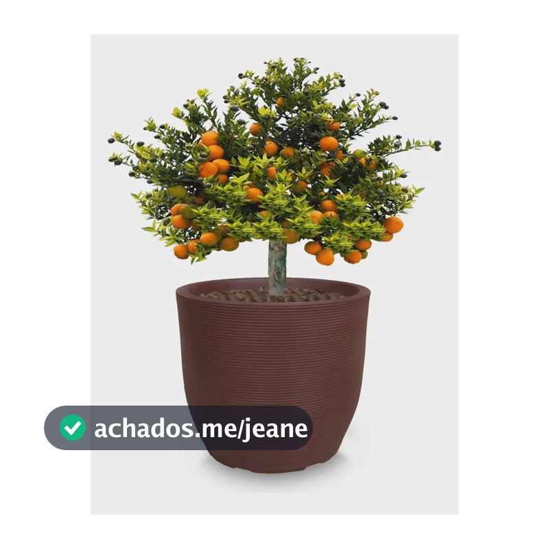 Vaso Grande Alto Redondo De Planta Frutifera Arvore R 70x70