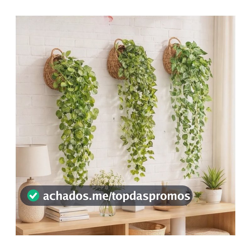 Kit 3 Vasos Suspensos + 3 Cordões Planta Melancia (ou A Plan Jiboia