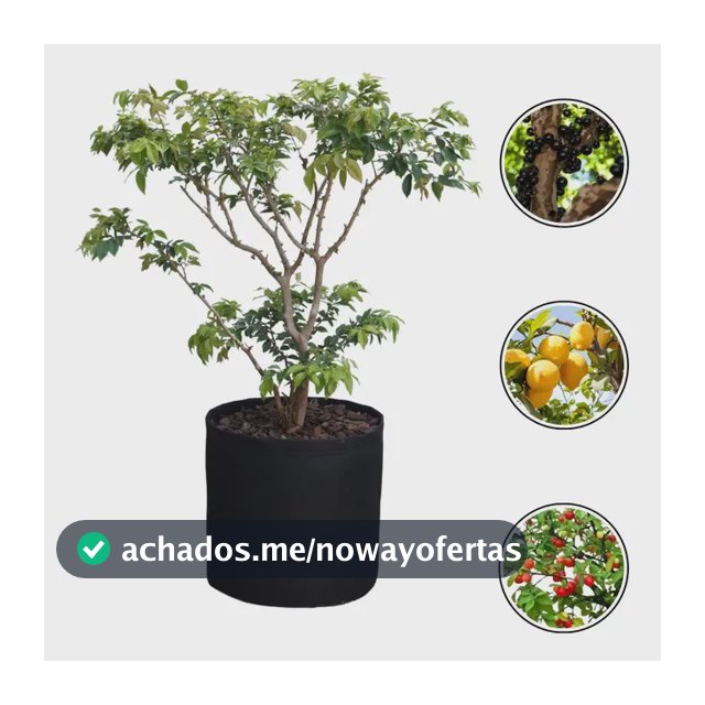 Vaso Grande Para Árvores Frutíferas Preto Vaso De Feltro 50 Litros