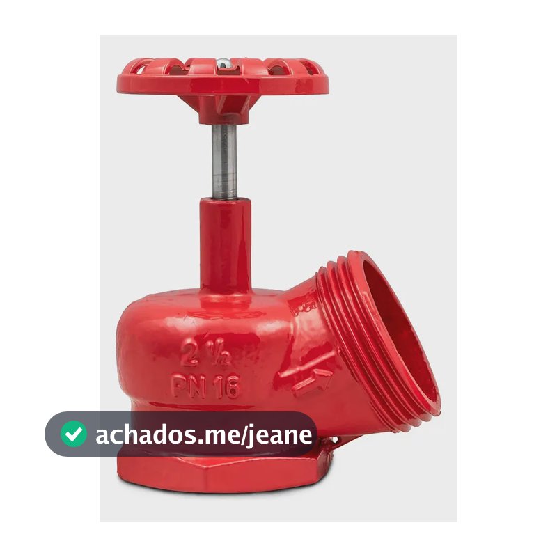 Válvula Globo Angular Segurimax 2.1/2 PN16 45 Graus Ferro Fundido