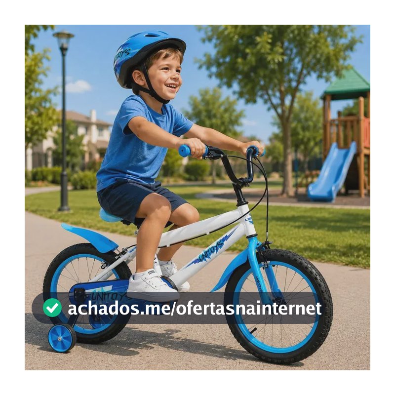 Unitoys Bike Infantil Com Rodinhas Aro 16