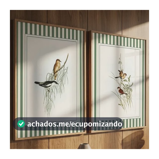 Quadros Decorativos Passaros Geometrico Vintage Com Moldura