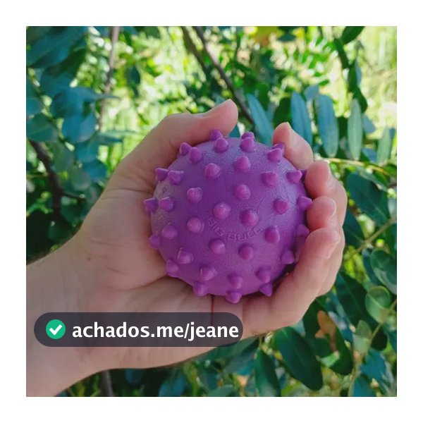 Bolinha Maciça para Cachorro de Borracha Atóxica Big Bull Pet Púrpura de 7.5cm