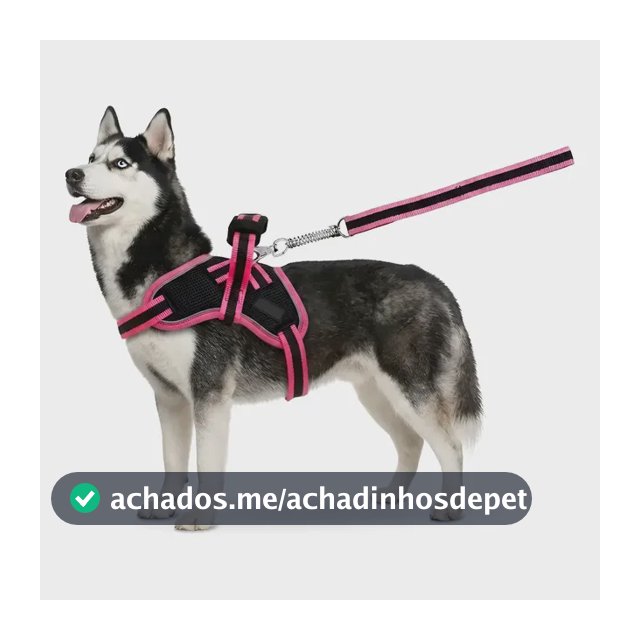 Guia Para Cães Coleira Peitoral Com Alça Reforçado Pit Bull