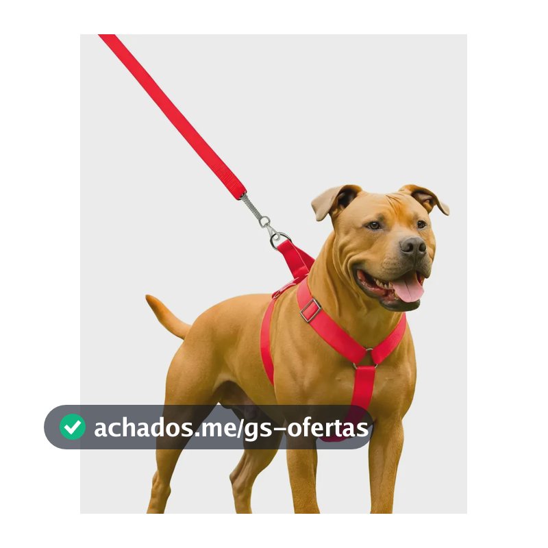 Coleira Peitoral Guia Para Cachorro Pit Bull Reforçada Vermelho
