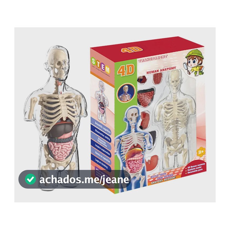 Premium . Kit De Anatomia Infantil - Corpo Humano Para