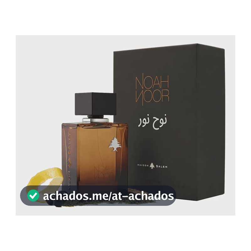 Perfume Árabe Maison Salem Noah Noor Masculino Edp - 100ml