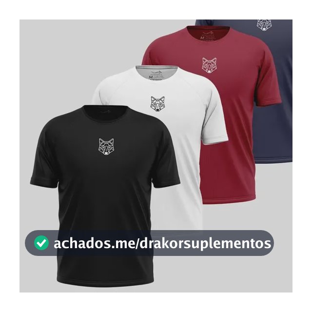 Kit 4 Camisetas Masculinas Dry Lobo Alpha