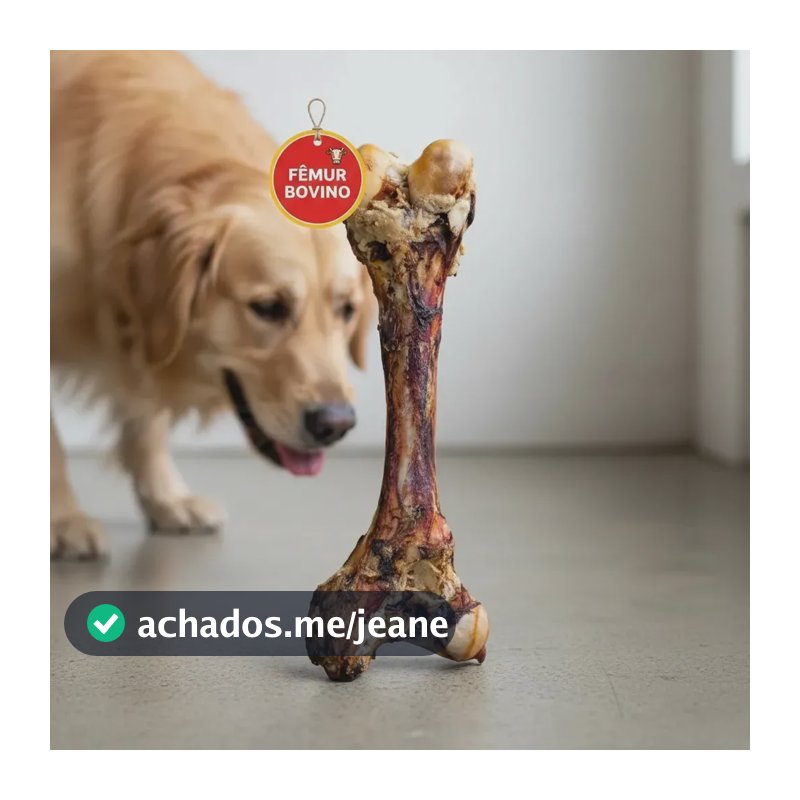 Osso Fêmur Bovino Gigante Defumado Petisco Para Cães Natural