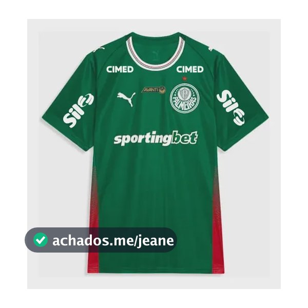Camisa Palmeiras Verde 2026 Exclusiva Com Todos Patrocínios Verde Personalizamos G